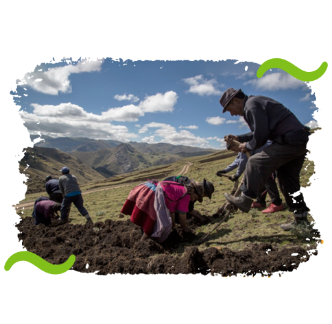Agricultura